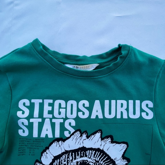 H & M Boys Size 6-8 Green Long Sleeve Dinosaur Graphic Sweater Dino Top - Picture 4 of 11